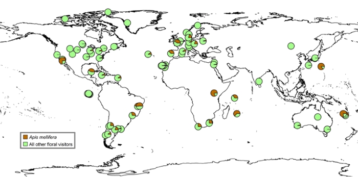 Map of the world showing 80 natural habitats